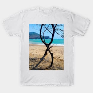 Vertical view through two curved pine tree trunks to a sand beach T-Shirt